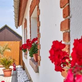 Silver Major Kaba - Külső kép