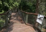 Kám - Jeli Arborétum Lombkorona sétány