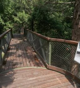 Jeli Arborétum Lombkorona sétány