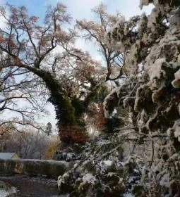 Kastélyszálló Szarkavár