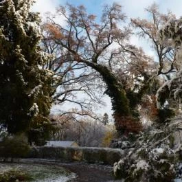 Kastélyszálló Szarkavár Kaposújlak - Környék