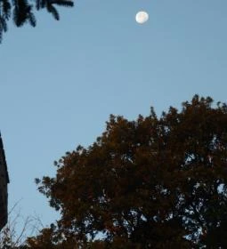 Kastélyszálló Szarkavár