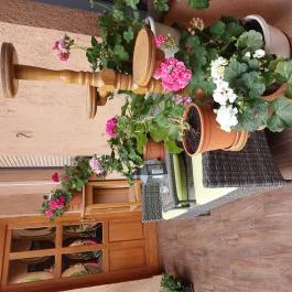 Adél Apartman Kaposvár - Medence/kert