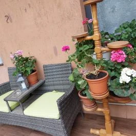 Adél Apartman Kaposvár - Medence/kert