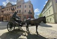 Rippl-Rónai József szamárfogatos szobra Kaposvár