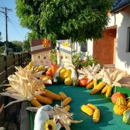 Hanság Vendégház Kapuvár - Egyéb