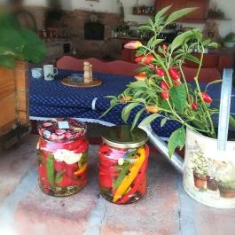 Hanság Vendégház Kapuvár - Egyéb