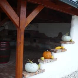 Hanság Vendégház Kapuvár - Medence/kert