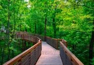 Karcag - Karcagi Parkerdő és Lombkorona sétány