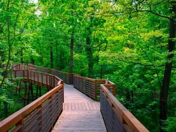 Karcagi Parkerdő és Lombkorona sétány Karcag