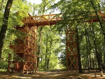 Kaszói Lombkorona Sétány Kaszó