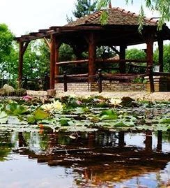 Fekete Gólya Vendéglő