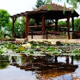 Fekete Gólya Vendéglő Kecskemét - Egyéb