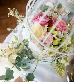 Fekete Gólya Vendéglő