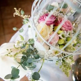 Fekete Gólya Vendéglő Kecskemét - Egyéb