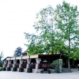 Fekete Gólya Vendéglő Kecskemét - Egyéb