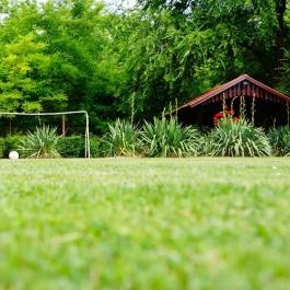 Fekete Gólya Vendéglő Kecskemét - Egyéb