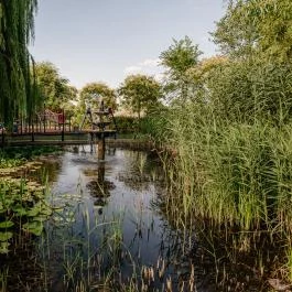 Fekete Gólya Vendéglő Kecskemét - Egyéb