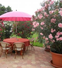  Granada Konferencia és Wellness Szálloda Étterme