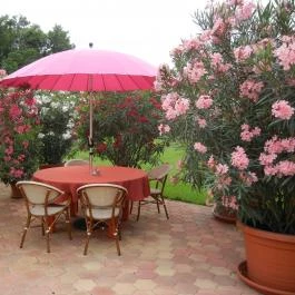  Granada Konferencia és Wellness Szálloda Étterme Kecskemét - Egyéb