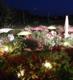  Granada Konferencia és Wellness Szálloda Étterme