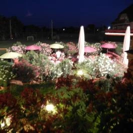  Granada Konferencia és Wellness Szálloda Étterme Kecskemét - Egyéb