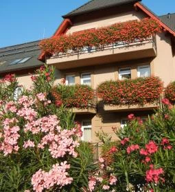  Granada Konferencia és Wellness Szálloda Étterme