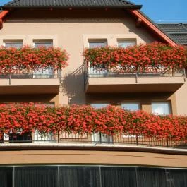  Granada Konferencia és Wellness Szálloda Étterme Kecskemét - Egyéb