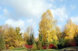 Kecskeméti Arborétum Kecskemét