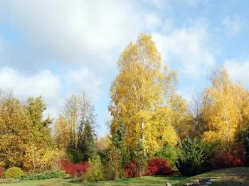 Kecskeméti Arborétum Kecskemét