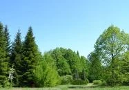 Kecskeméti Arborétum Kecskemét