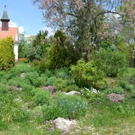 Kecskeméti Arborétum Kecskemét - Egyéb