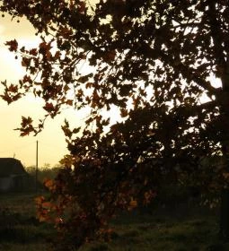 Kiskunsági Nemzeti Park 