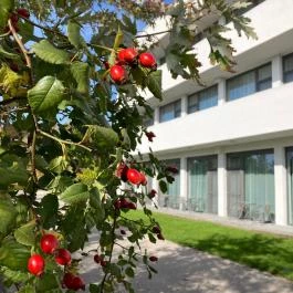 Aqua Hotel Kecskemét - Külső kép