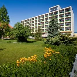 Aranyhomok Business & Wellness Hotel Kecskemét - Egyéb