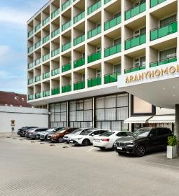 Aranyhomok Business & Wellness Hotel