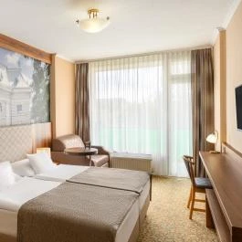 Aranyhomok Business & Wellness Hotel Kecskemét - Szobák