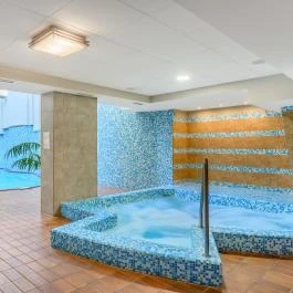 Aranyhomok Business & Wellness Hotel Kecskemét - Wellness