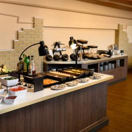 Aranyhomok Hotel Business & Relax Kecskemét - Vendéglátás