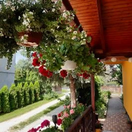 Andrea Vendégház Kehidakustány - Medence/kert