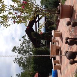 Diófa Vendégház Kehidakustány - Medence/kert