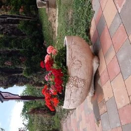 Diófa Vendégház Kehidakustány - Medence/kert