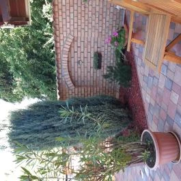 Diófa Vendégház Kehidakustány - Külső kép