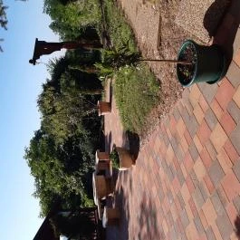 Diófa Vendégház Kehidakustány - Medence/kert