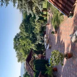 Diófa Vendégház Kehidakustány - Medence/kert