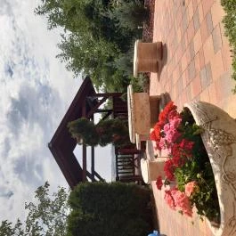 Diófa Vendégház Kehidakustány - Medence/kert