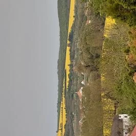 Diófa Vendégház Kehidakustány - Egyéb