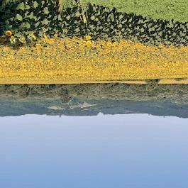 Diófa Vendégház Kehidakustány - Egyéb