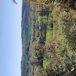 Diófa Vendégház Kehidakustány - Egyéb