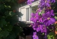 Fenyves Vendégház Kehidakustány Kehidakustány